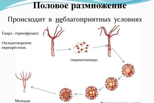 Сайт mega в tor