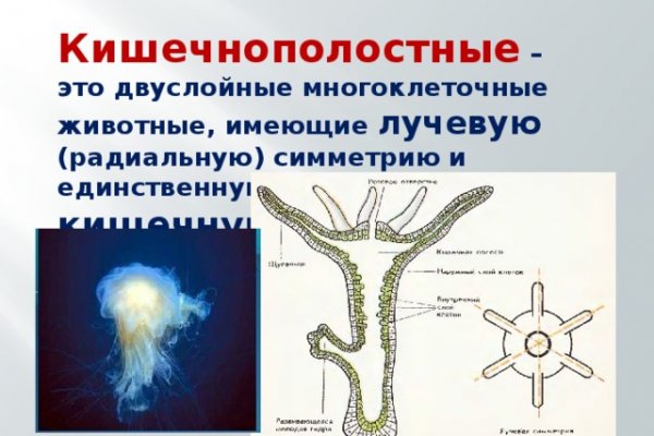 Mega ссылка для тору