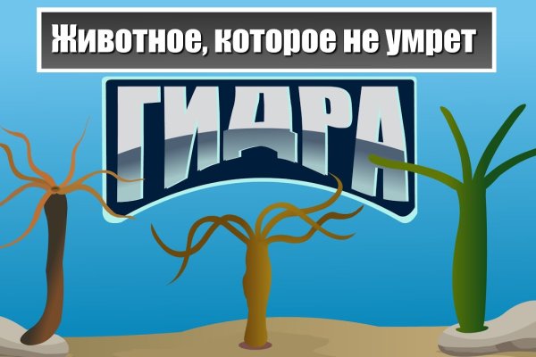 Omg сайт как гидра