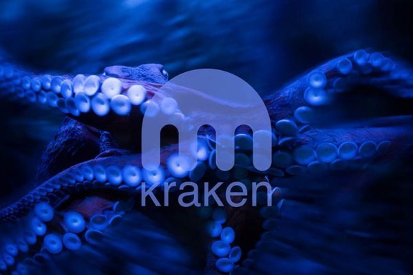 Kraken телеграмм