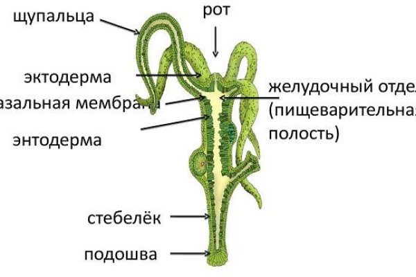 Омг наркомагазин