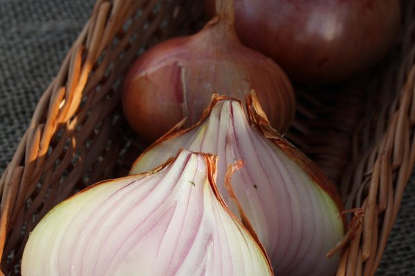 Https megaruzxpnew4af onion
